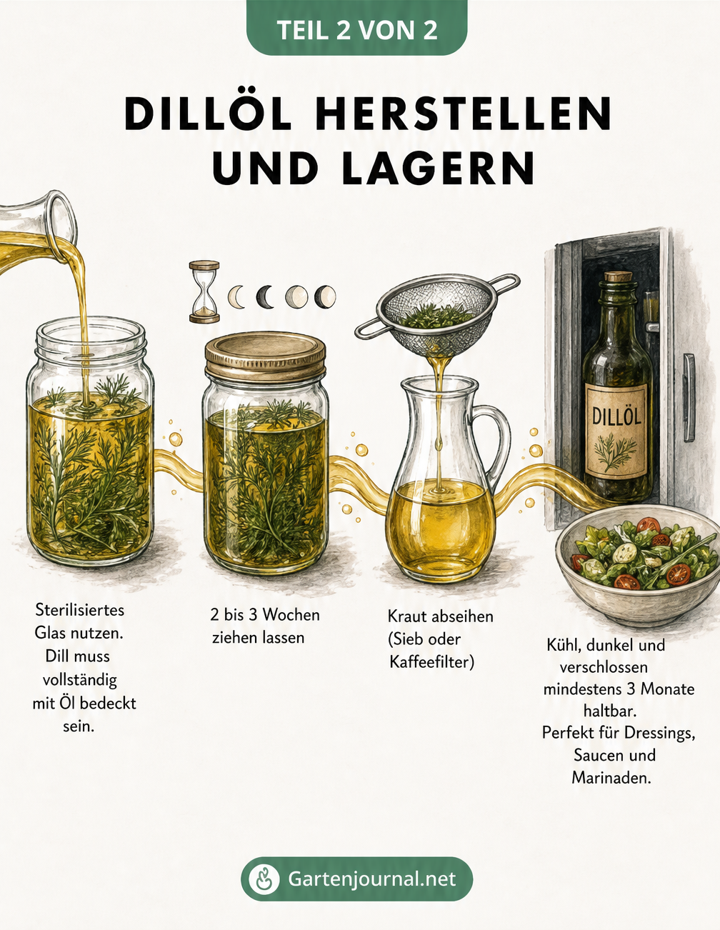 Ablaufdiagramm zur Herstellung von Dillöl: Dill in Glas geben, mit Öl bedecken, ziehen lassen, abseihen und lagern
