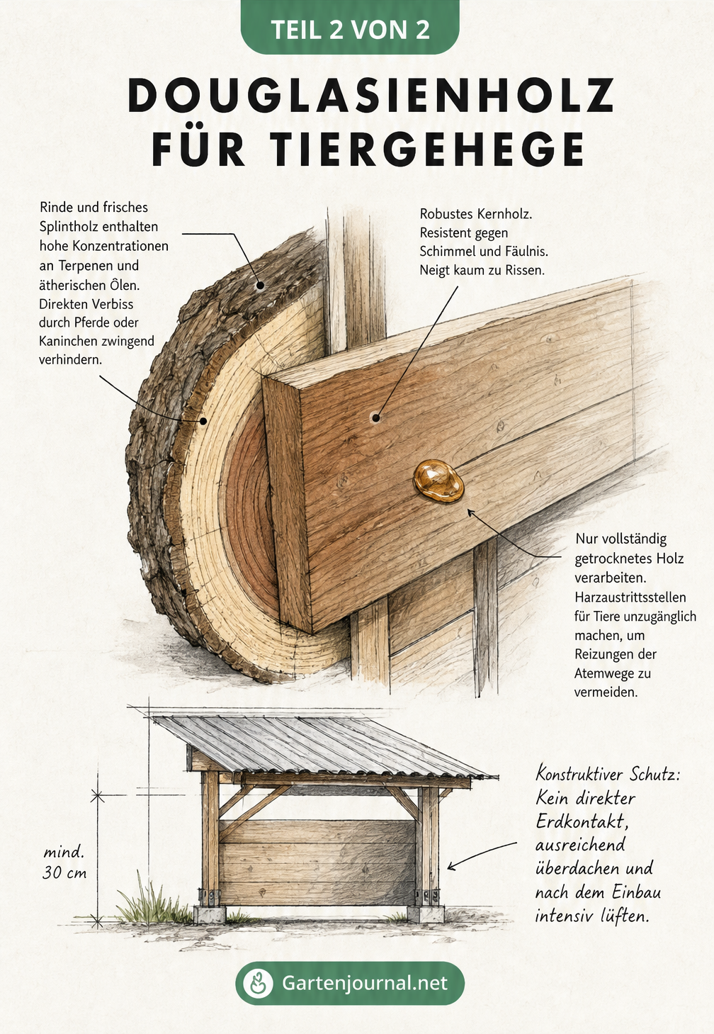 Architektonische Skizze eines Douglasien-Holzstamms und eines verbauten Brettes mit Hinweisen zur Nutzung im Tiergehege