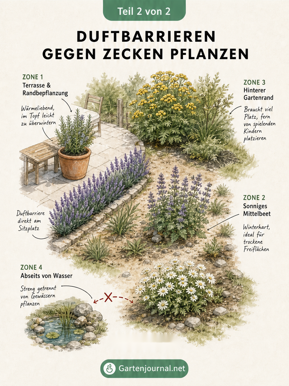 Isometrischer Gartenplan, der zeigt, wo zeckenabwehrende Pflanzen wie Rosmarin, Lavendel, Katzenminze und Rainfarn strategisch im Beet und auf der Terrasse...
