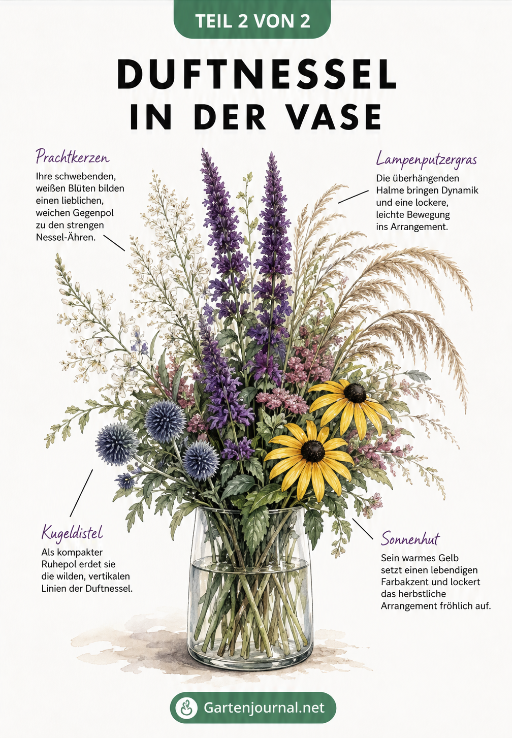 Illustration eines Blumenstraußes in einer Glasvase mit Duftnessel, Prachtkerze, Lampenputzergras, Sonnenhut und Kugeldistel