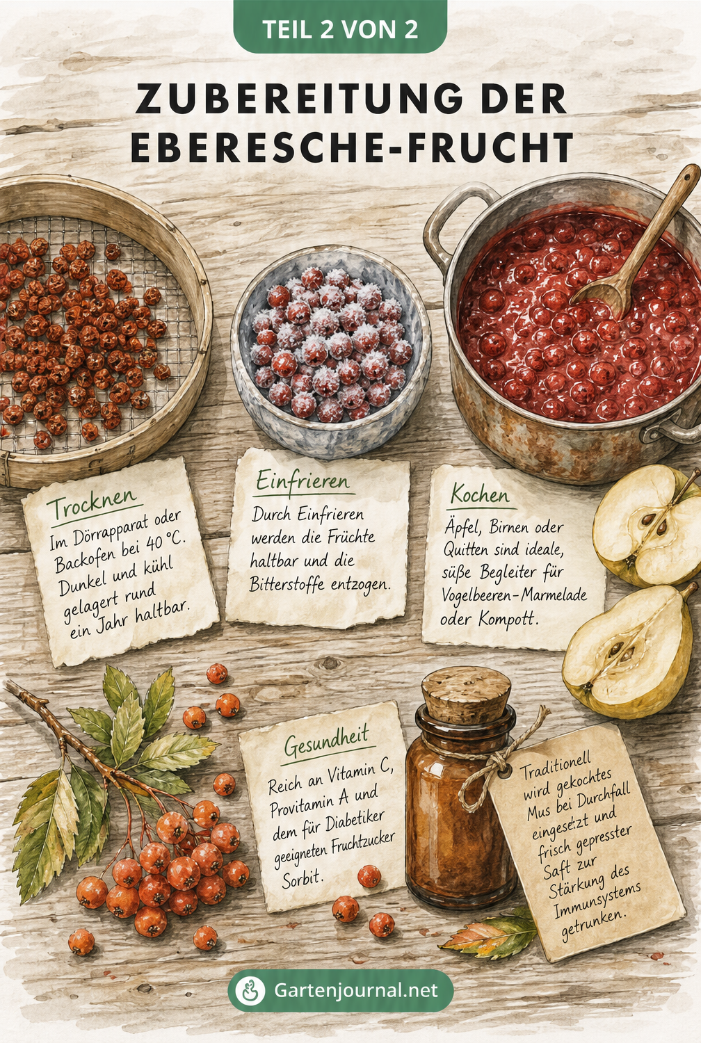 Illustration eines Küchenstilllebens mit Holzsieb, vereister Schale und Kochtopf zur Verarbeitung von Vogelbeeren