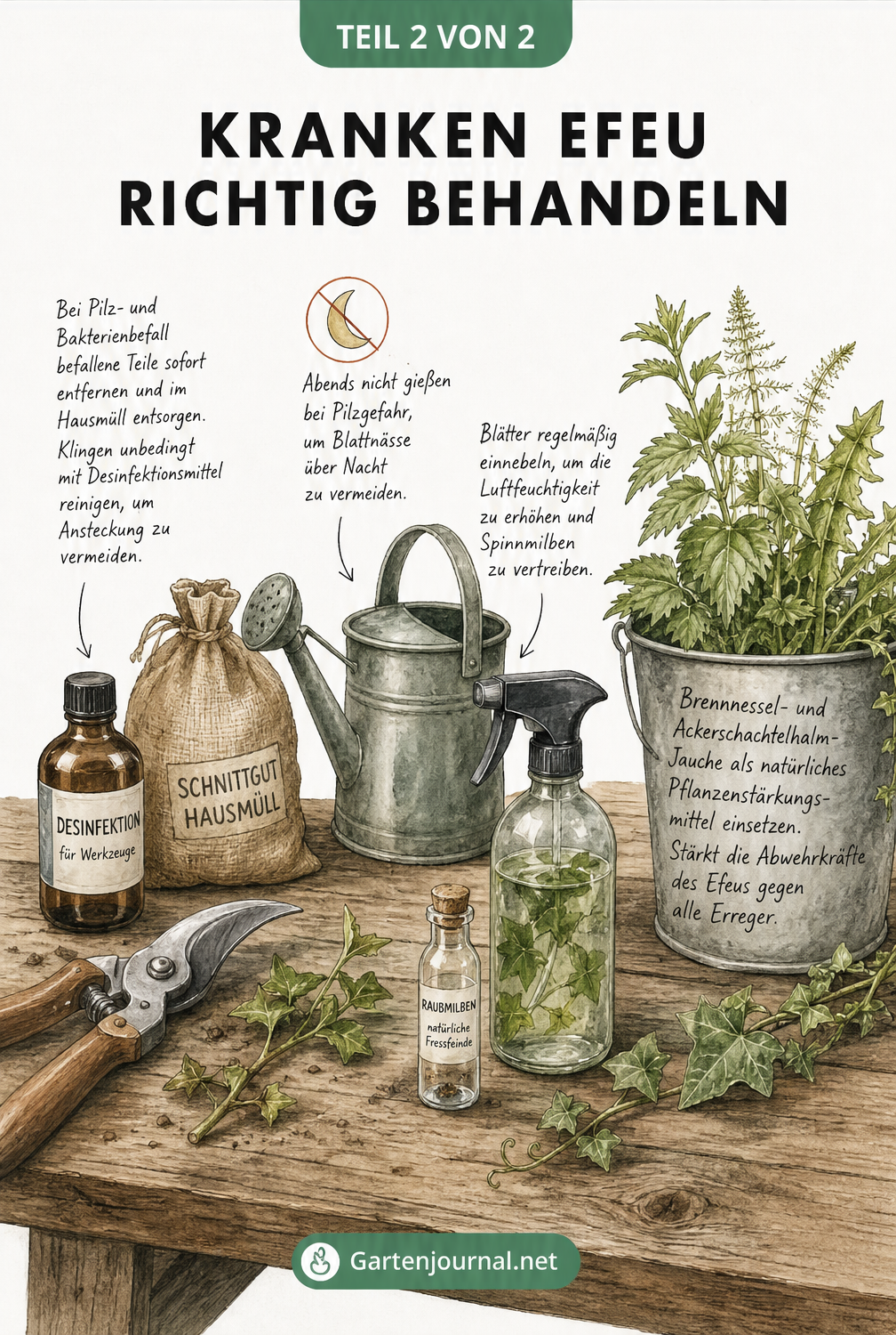 Illustration eines Pflanztisches mit Gartenschere, Gießkanne, Sprühflasche und Pflanzenjauche zur Behandlung von Efeu