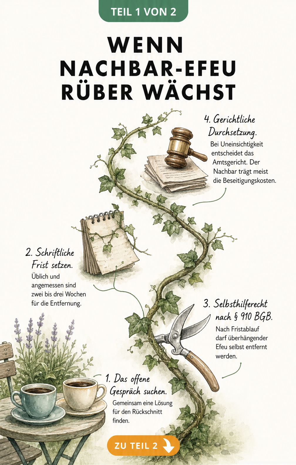Illustration einer Efeuranke als Zeitstrahl mit vier Eskalationsstufen bei Nachbarschaftsstreitigkeiten um Efeu