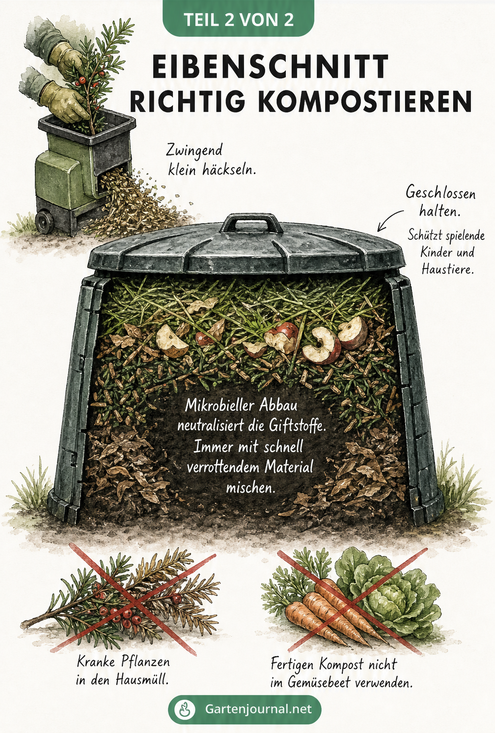 Querschnitt eines Schnellkomposters mit gehäckseltem Eibenschnitt, Rasenschnitt und Apfelresten sowie Hinweisen zum mikrobiellen Abbau.