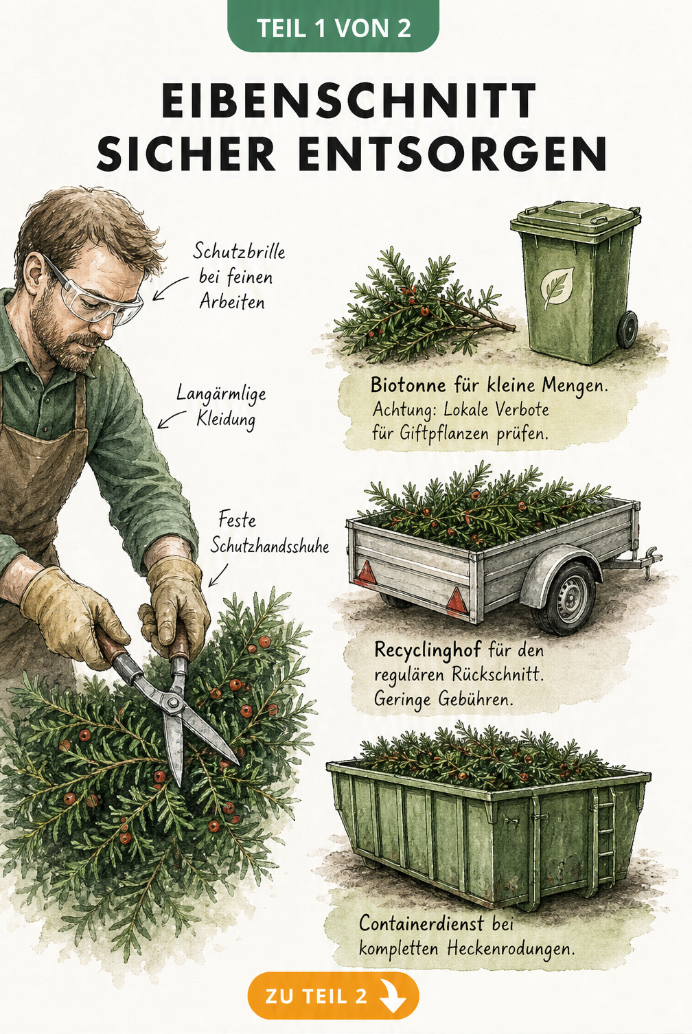 Illustration eines Gärtners mit Schutzkleidung und drei Entsorgungswegen für Eibenschnitt: Biotonne, Recyclinghof und Containerdienst.