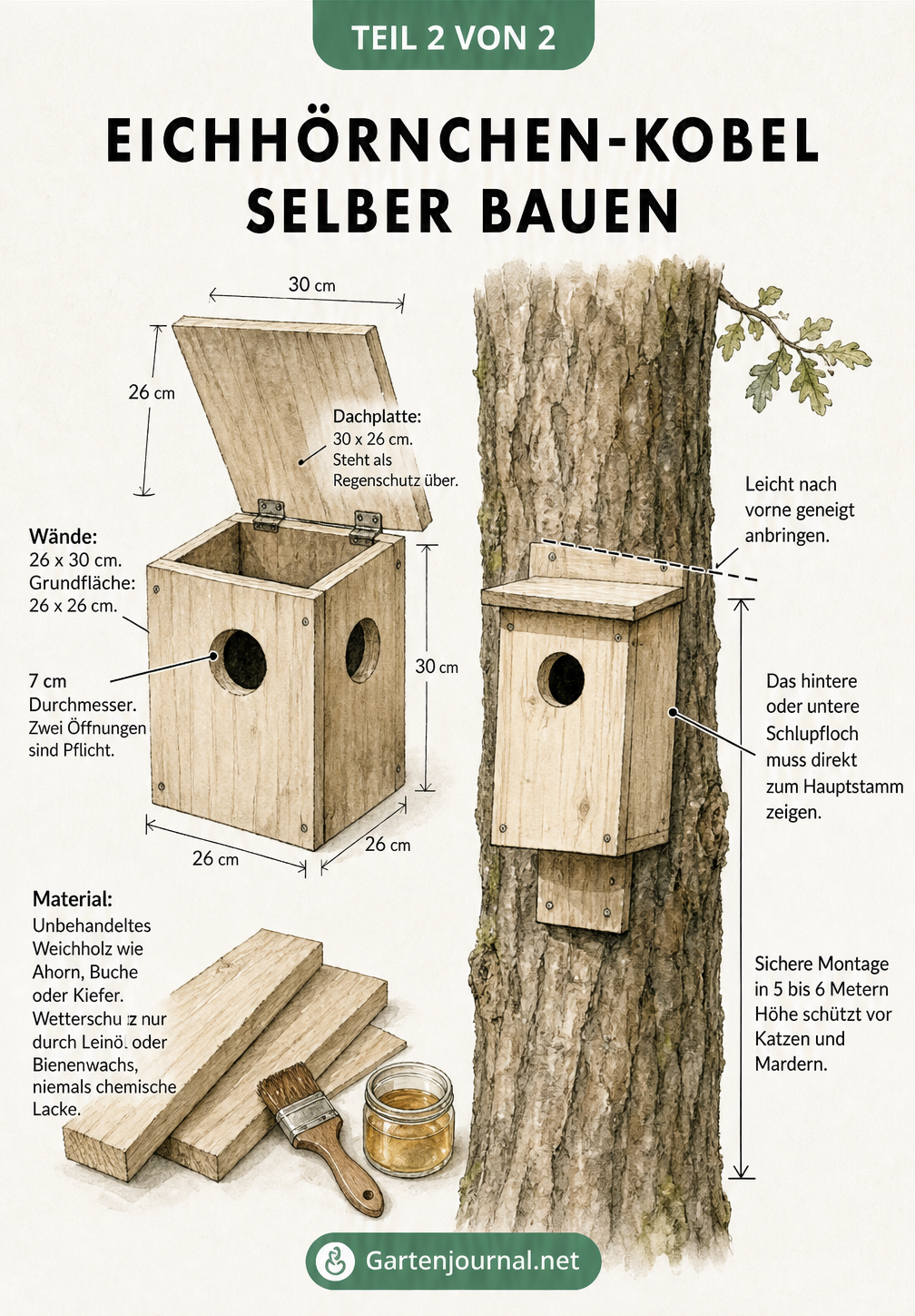 Bauplan und Montage-Skizze für einen Eichhörnchen-Kobel aus Holz mit zwei Öffnungen und leicht geneigter Anbringung am Baum