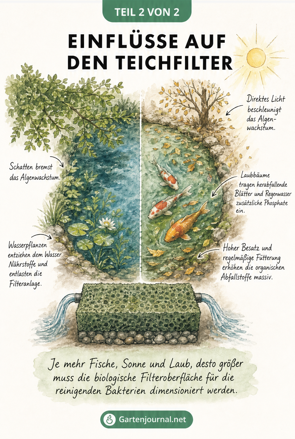 Illustration eines Gartenteichs, der die Einflüsse von Schatten, Pflanzen, Sonne, Laub und Fischen auf den Teichfilter zeigt
