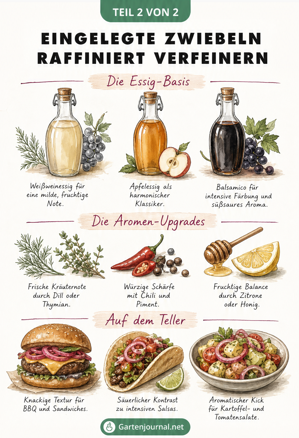Illustration verschiedener Essigsorten, Kräuter, Gewürze und Gerichte wie Burger und Tacos zur Verfeinerung von eingelegten Zwiebeln.