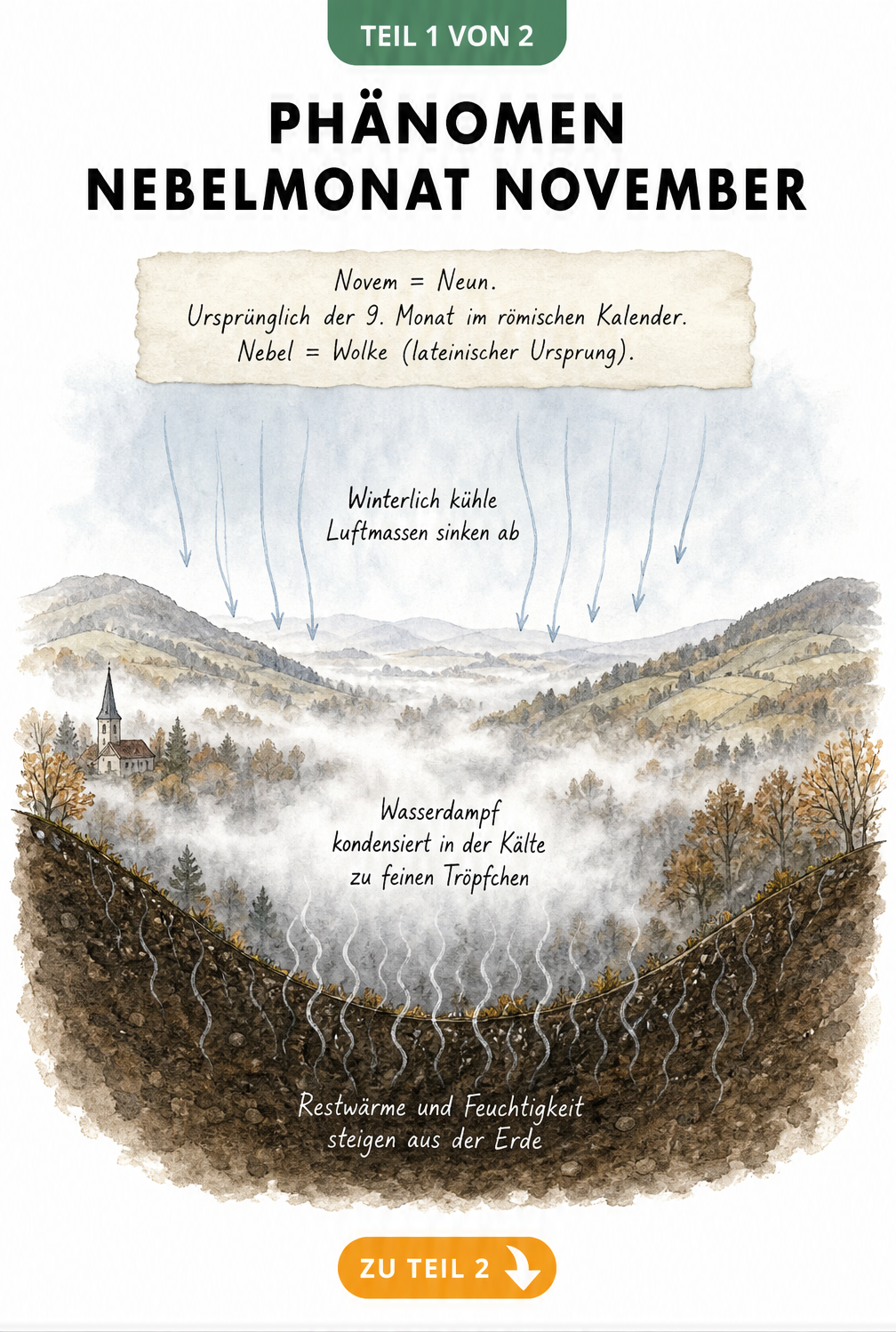 Schnittgrafik einer herbstlichen Landschaft, die die Entstehung von Nebel durch absinkende Kaltluft und aufsteigende Bodenfeuchtigkeit zeigt
