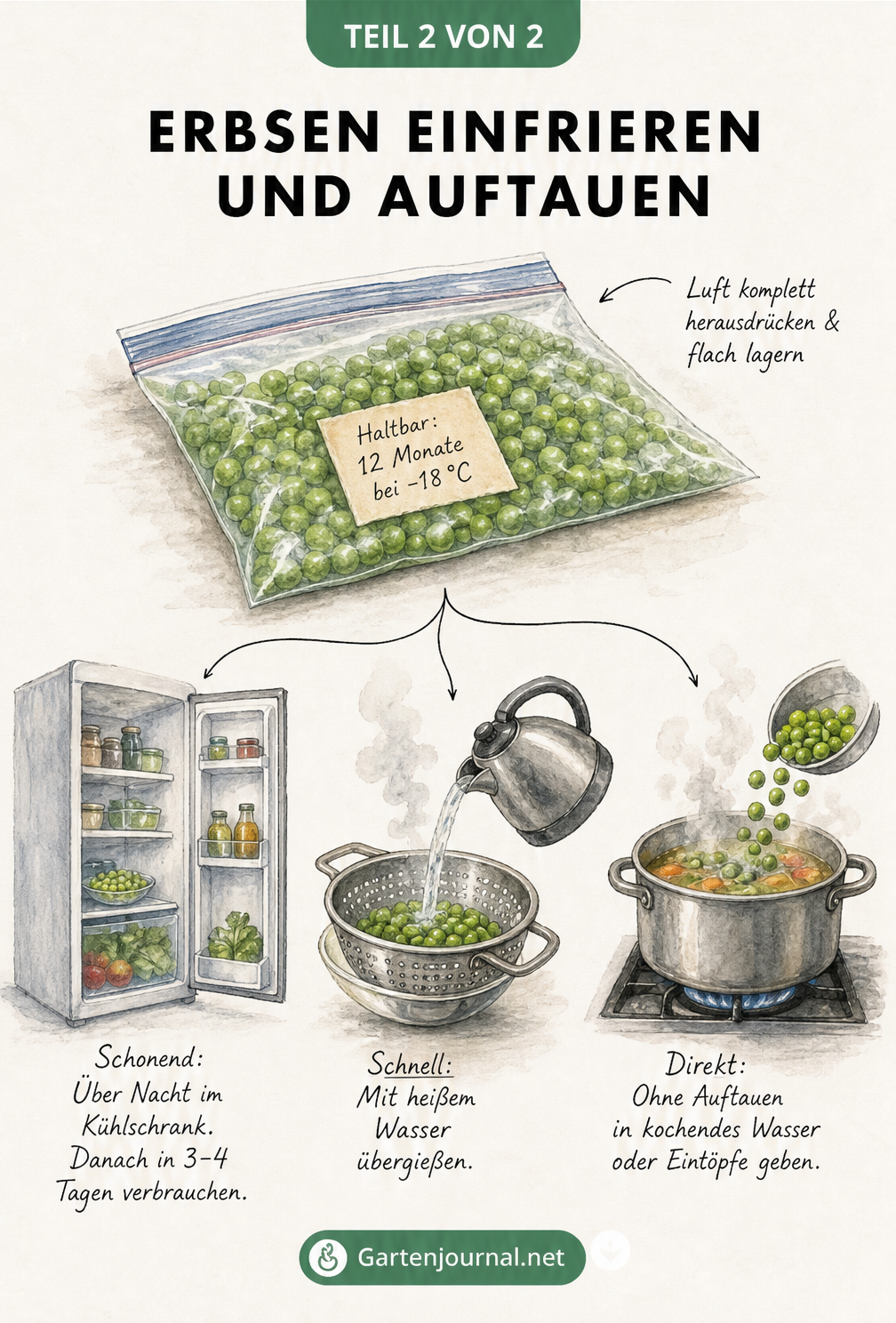 Illustration: Gefrierbeutel mit Erbsen und drei Methoden zum Auftauen.