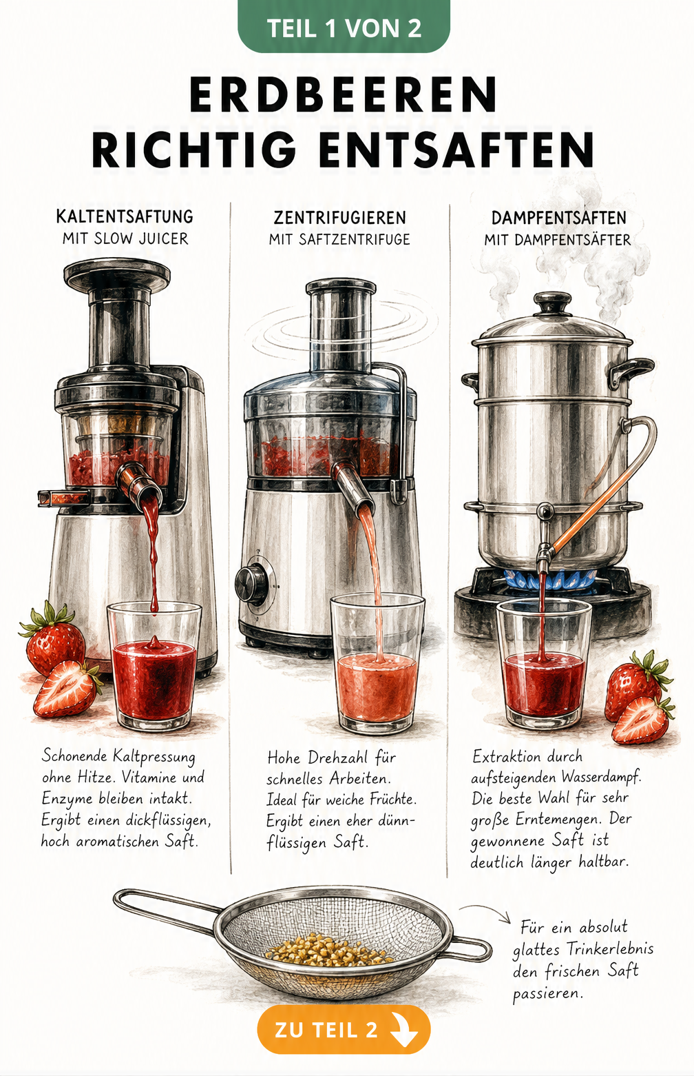 Vergleich von Slow Juicer, Saftzentrifuge und Dampfentsafter für Erdbeeren