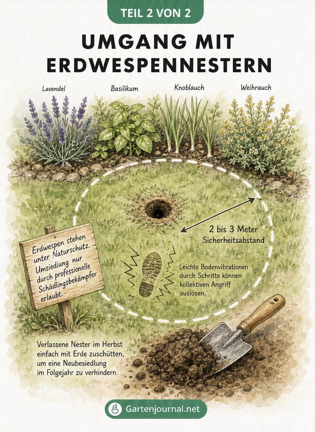 Gartenplan mit Sicherheitsabstand zum Erdwespennest und abwehrenden Pflanzen wie Lavendel