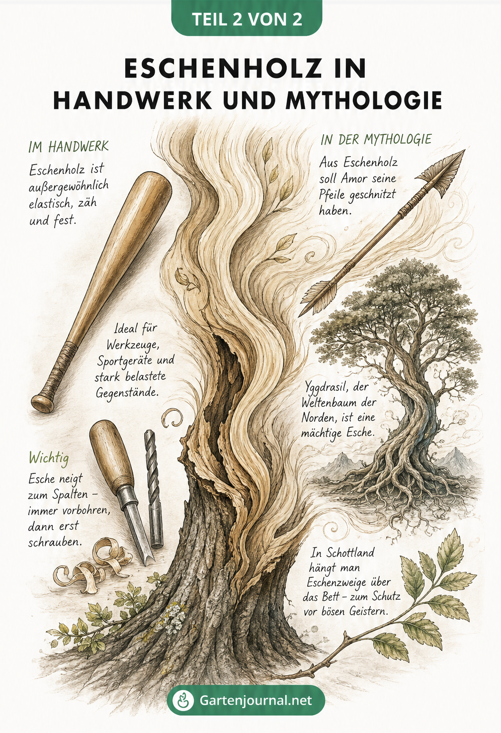 Illustration eines Eschenstamms mit Holzmaserung, Werkzeugen, einem Baseballschläger und mystischen Elementen wie einem Pfeil