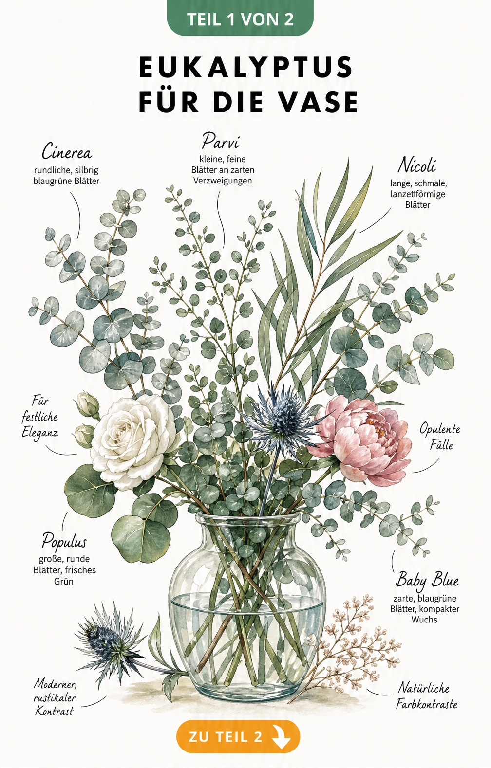 Botanische Illustration von fünf Eukalyptusarten in einer bauchigen Glasvase mit Begleitblumen