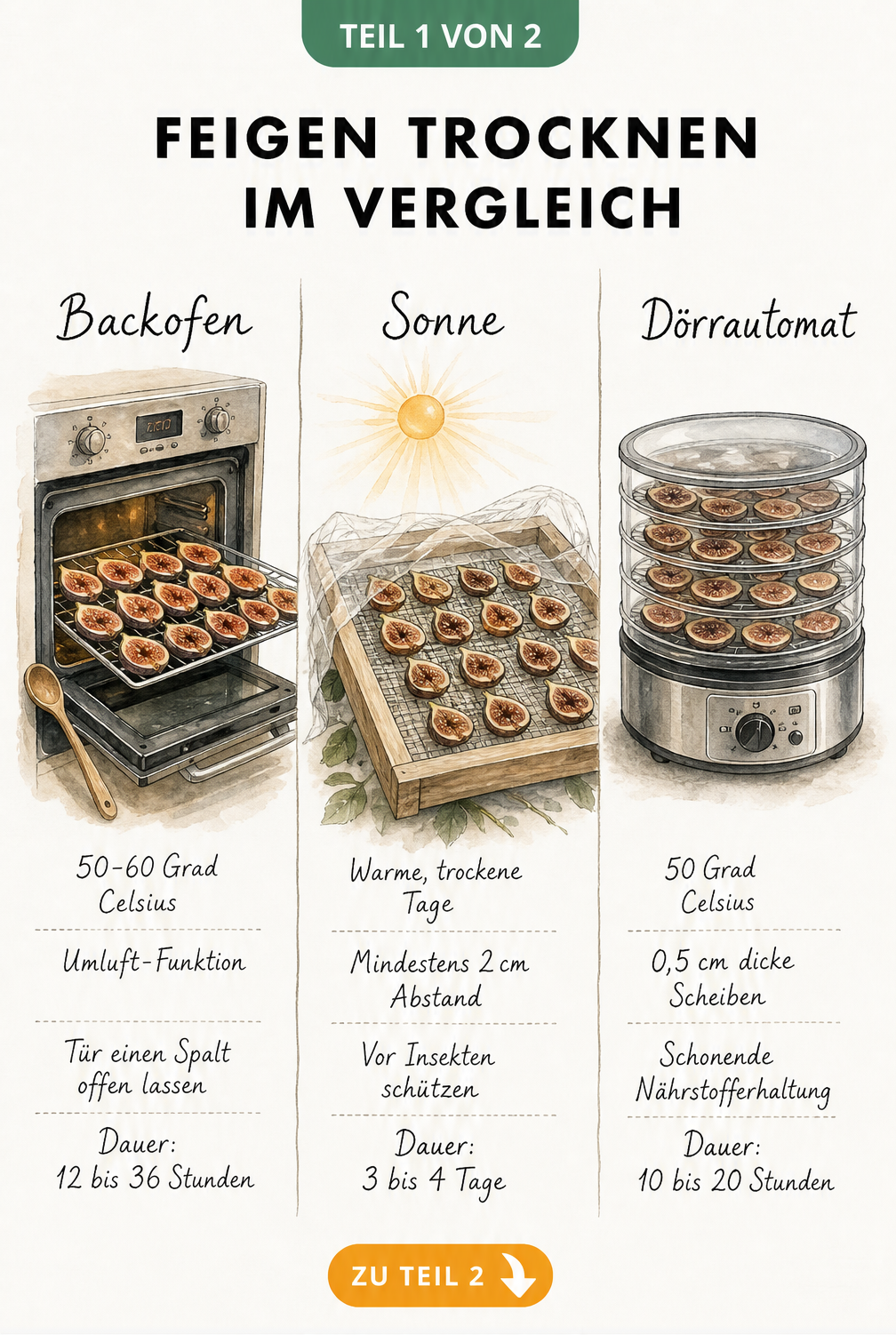 Illustration von drei Methoden zum Feigen trocknen: Backofen, Sonne und Dörrautomat mit Temperatur- und Zeitangaben