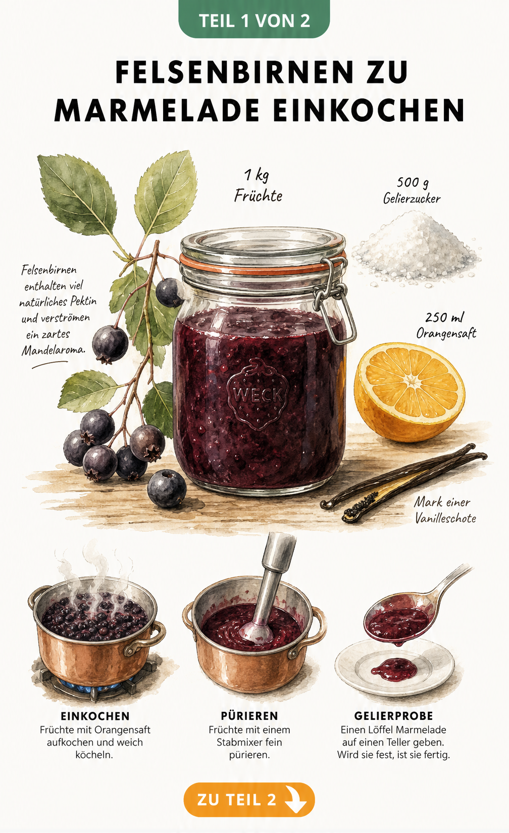 Einmachglas mit Felsenbirnen-Marmelade, daneben ein Zweig mit reifen Beeren, Gelierzucker, Vanilleschote und Orange auf einem Holztisch