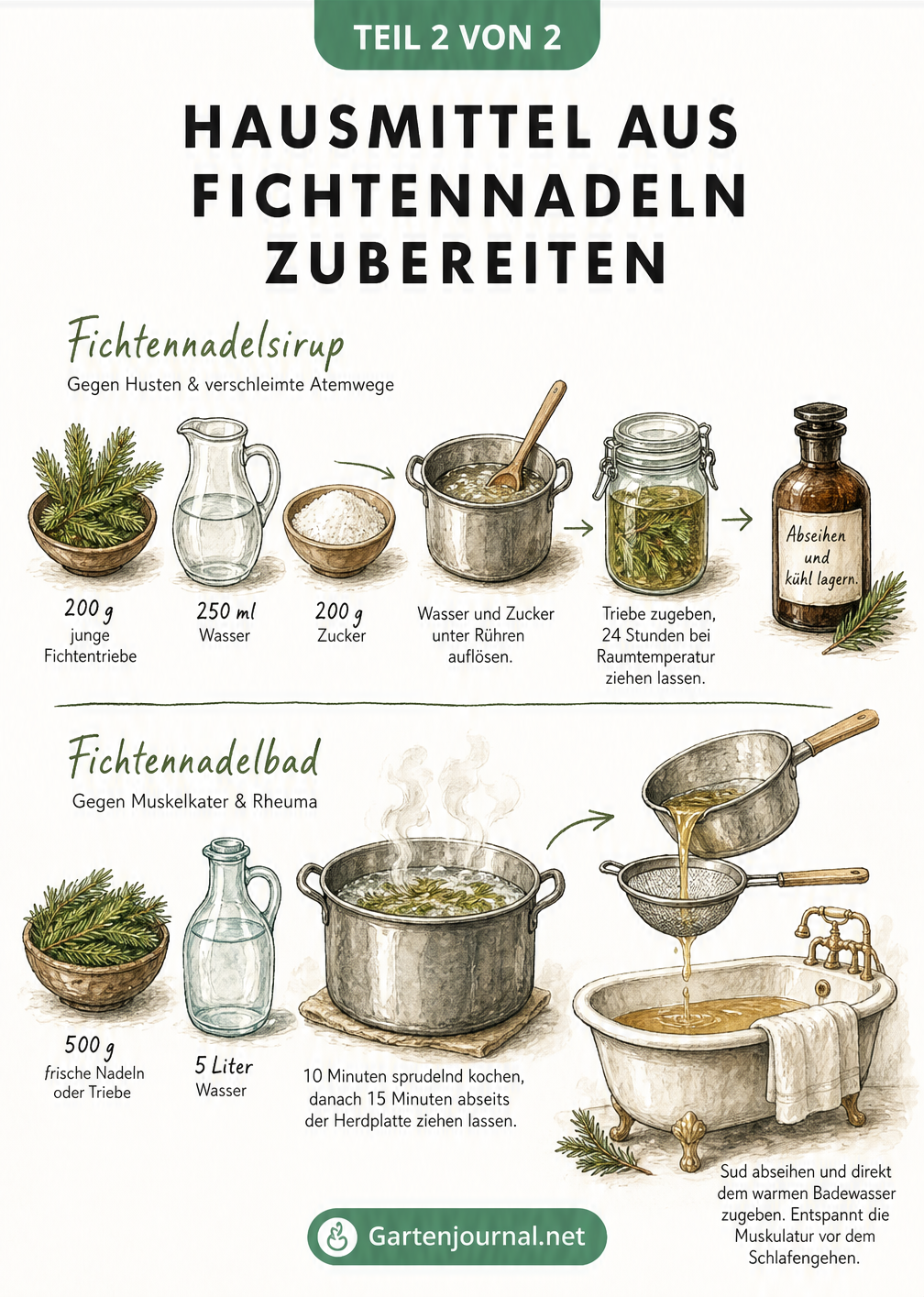 Illustrierte Anleitung zur Zubereitung von Fichtennadelsirup gegen Husten und Fichtennadelbad gegen Muskelkater.