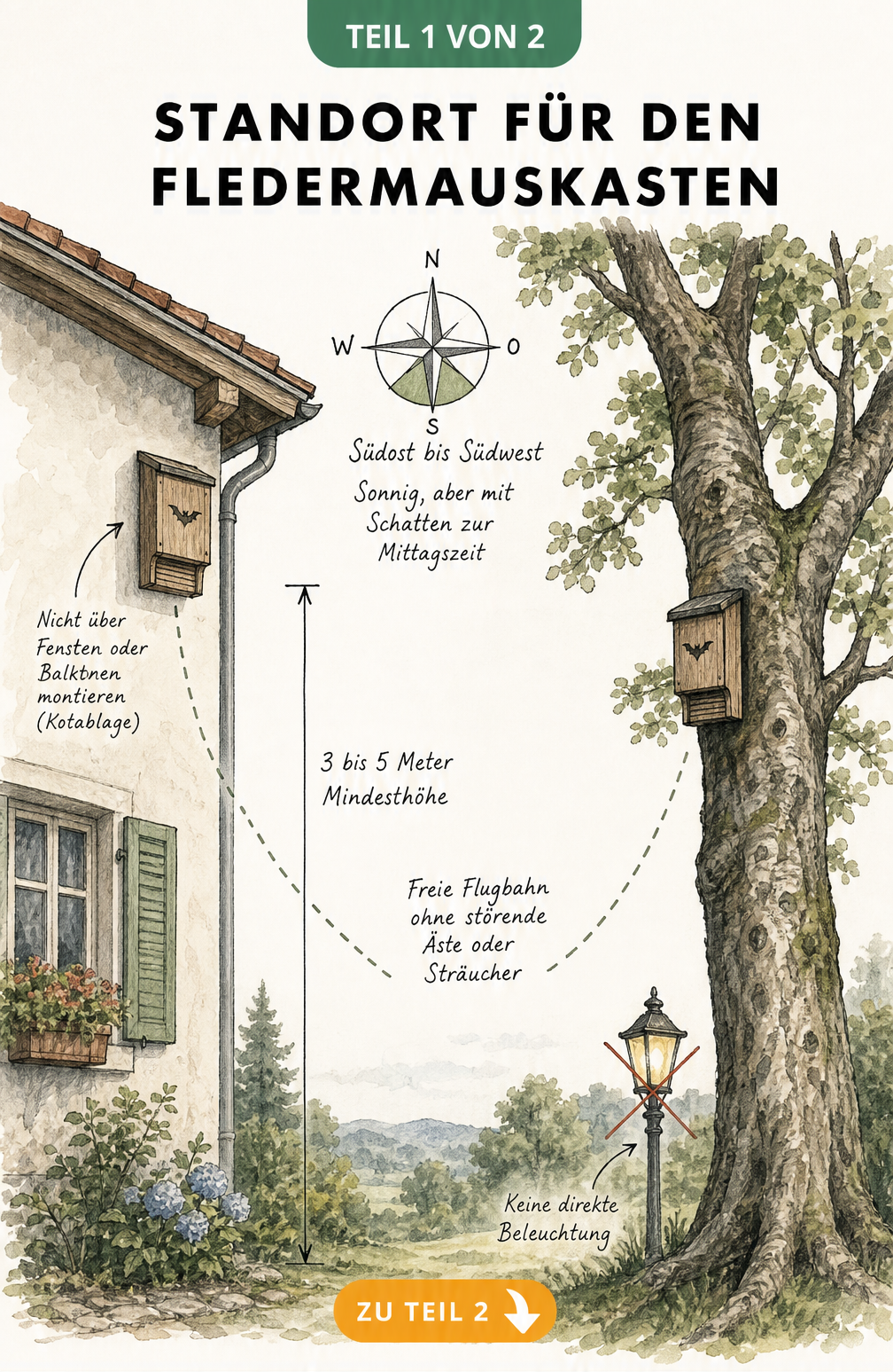Skizze eines Fledermauskastens an Hauswand und Baum mit Hinweisen zu Montagehöhe, Flugbahn und Ausrichtung