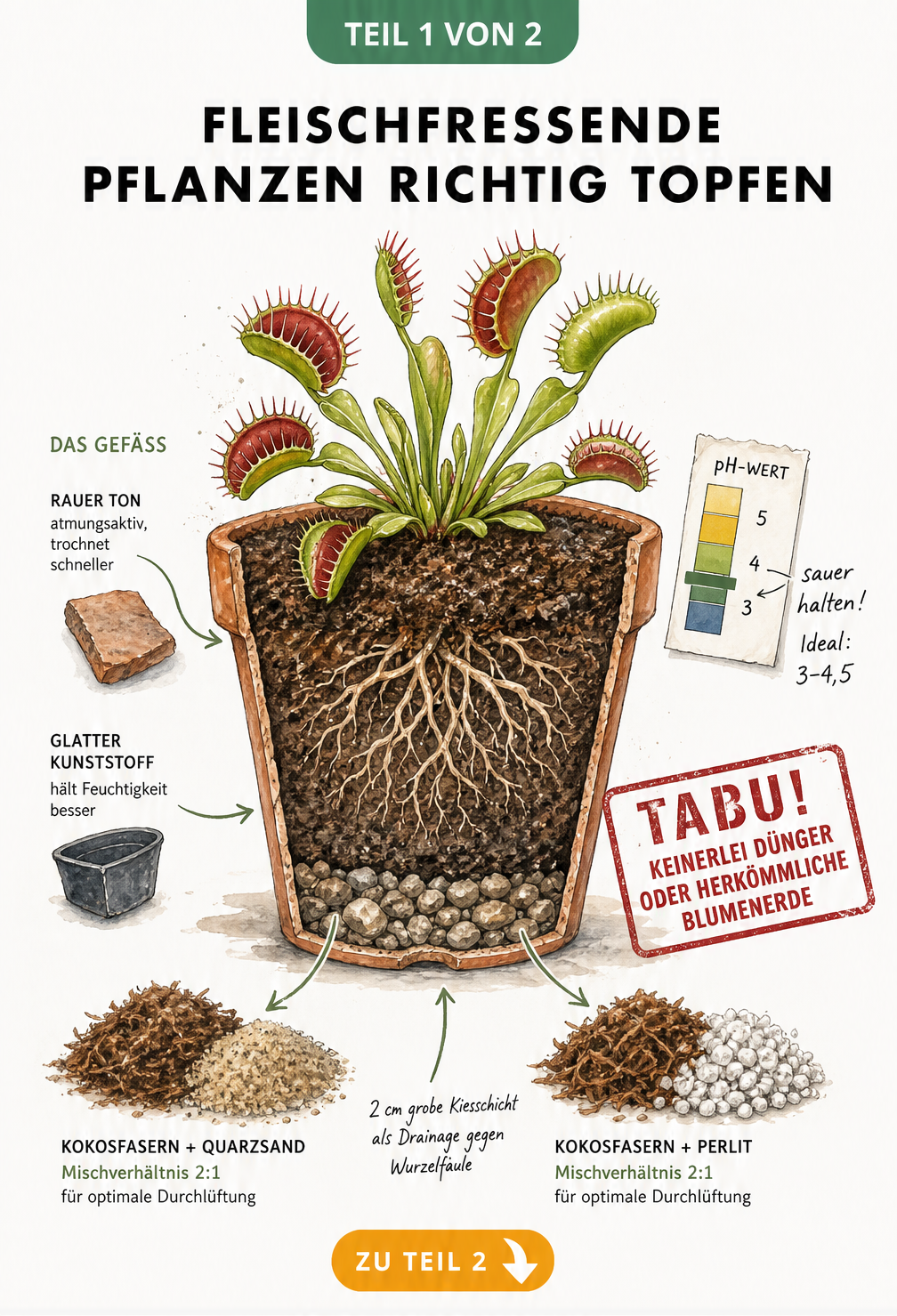 Querschnitt eines Blumentopfs mit fleischfressender Pflanze, der die Drainageschicht, das saure Substrat und die Mischverhältnisse zeigt