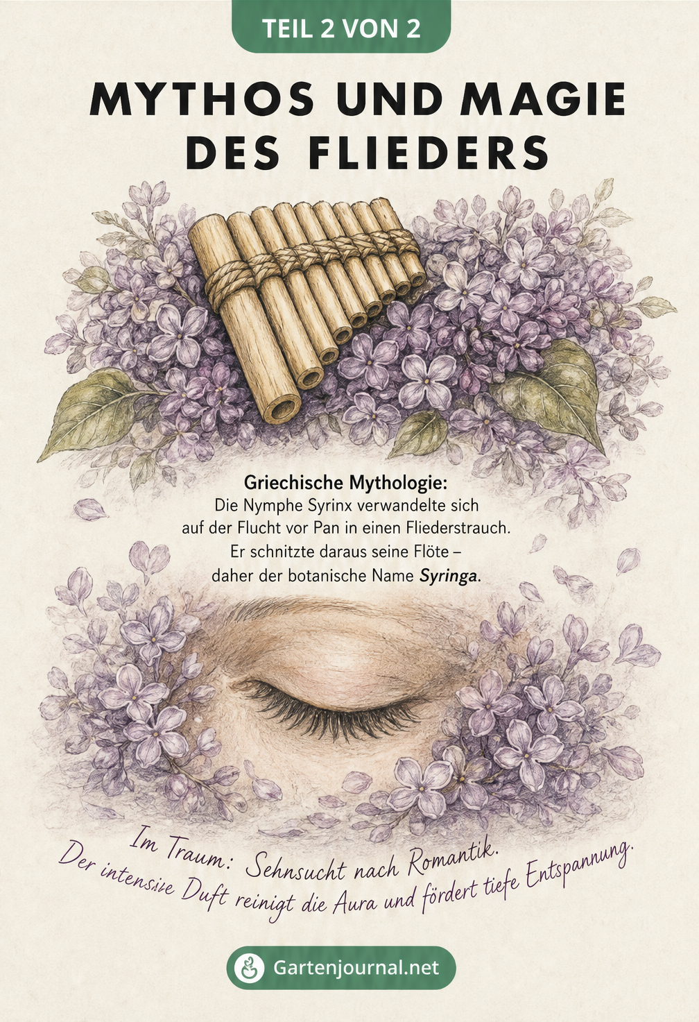 Illustration einer Panflöte auf Fliederblüten und einem geschlossenen Auge, mit Text zur griechischen Mythologie und Traumdeutung