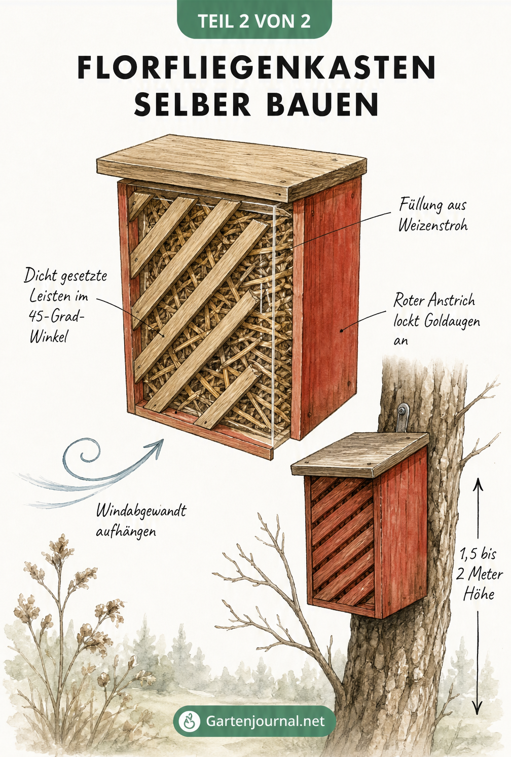 Konstruktionszeichnung eines Florfliegenkastens aus Holz mit Weizenstroh-Füllung