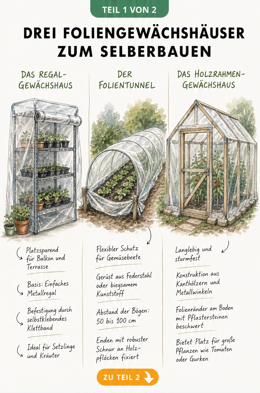 Drei Bauweisen für Foliengewächshäuser im Vergleich: Regal-Gewächshaus, Folientunnel und Holzrahmen-Gewächshaus