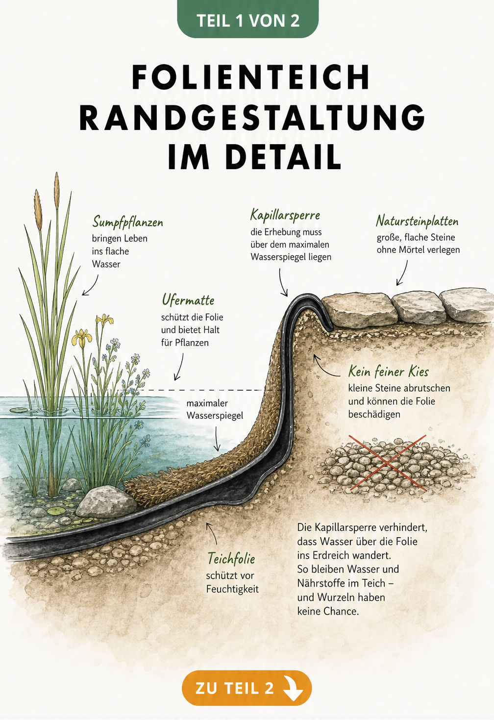 Querschnitt eines Folienteichufers mit Kapillarsperre, Ufermatte und Natursteinen