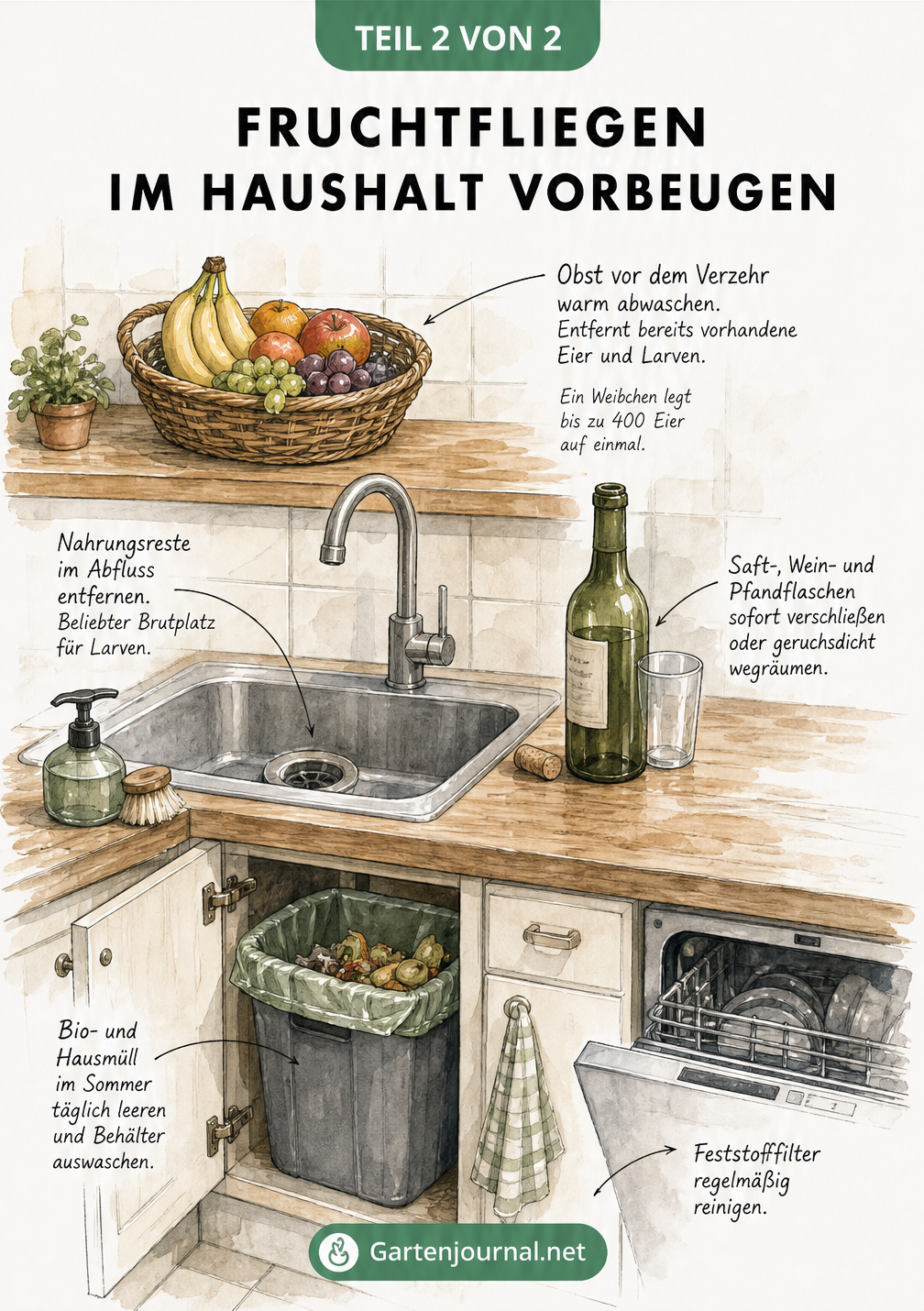 Querschnitt einer Küche mit Tipps zur Vorbeugung von Fruchtfliegen an Obstkorb, Spüle und Mülleimer