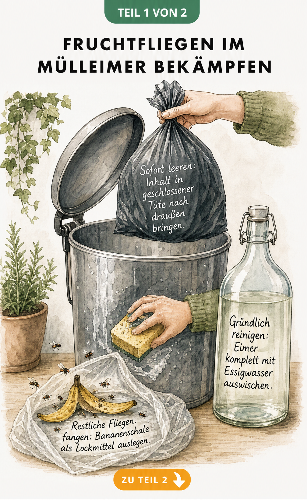 Illustration eines Mülleimers, der geleert und mit Essigwasser gereinigt wird, daneben eine Bananenschale als Fruchtfliegenfalle