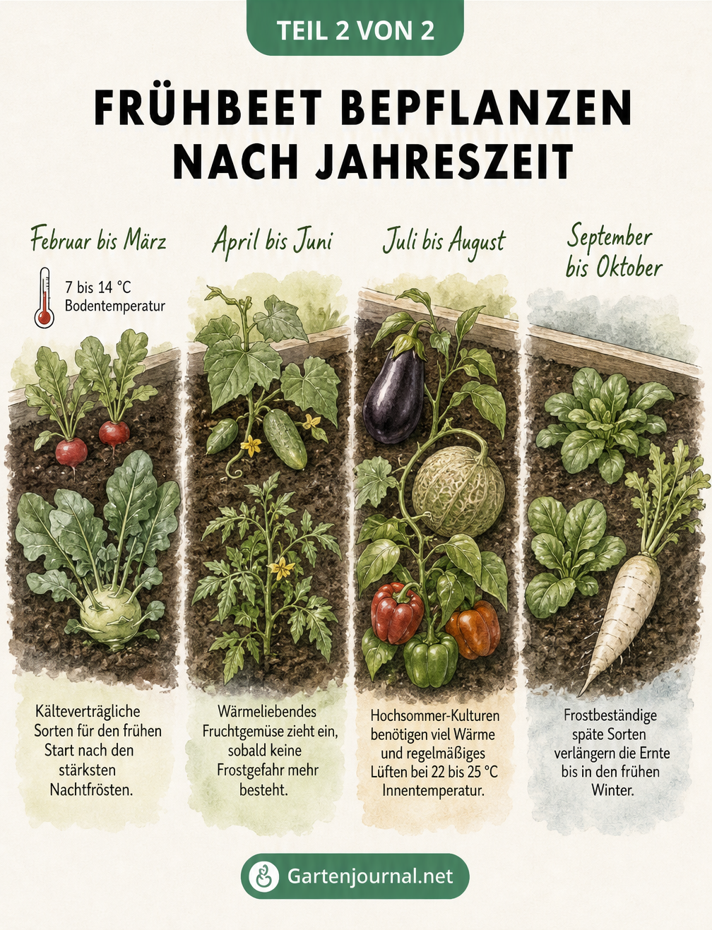 Pflanzkalender für das Frühbeet mit passenden Gemüsesorten für Frühjahr, Sommer, Herbst und Winter.
