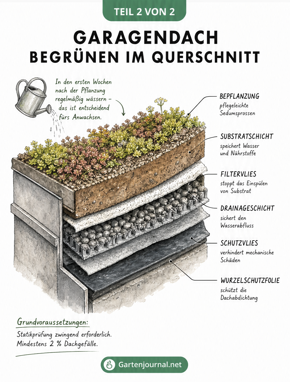3D-Schnittzeichnung eines Flachdachs mit Schichtaufbau für ein Gründach, von Wurzelschutzfolie bis zur Bepflanzung mit Sedum