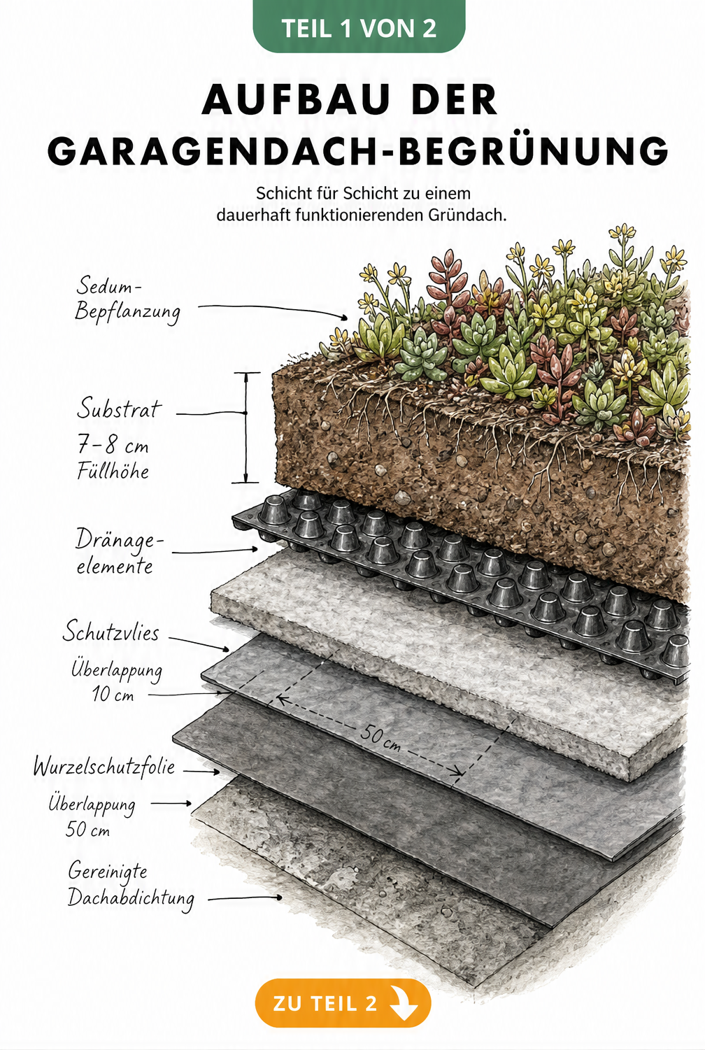 Querschnitt durch ein Garagendach mit den Schichten der Dachbegrünung: Dachabdichtung, Wurzelschutzfolie, Schutzvlies, Dränage, Substrat und Sedum.