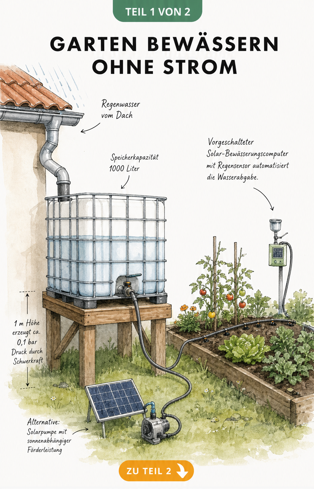 Skizze eines Gartens mit IBC-Container, Solarpumpe und Bewässerungssystem ohne Strom