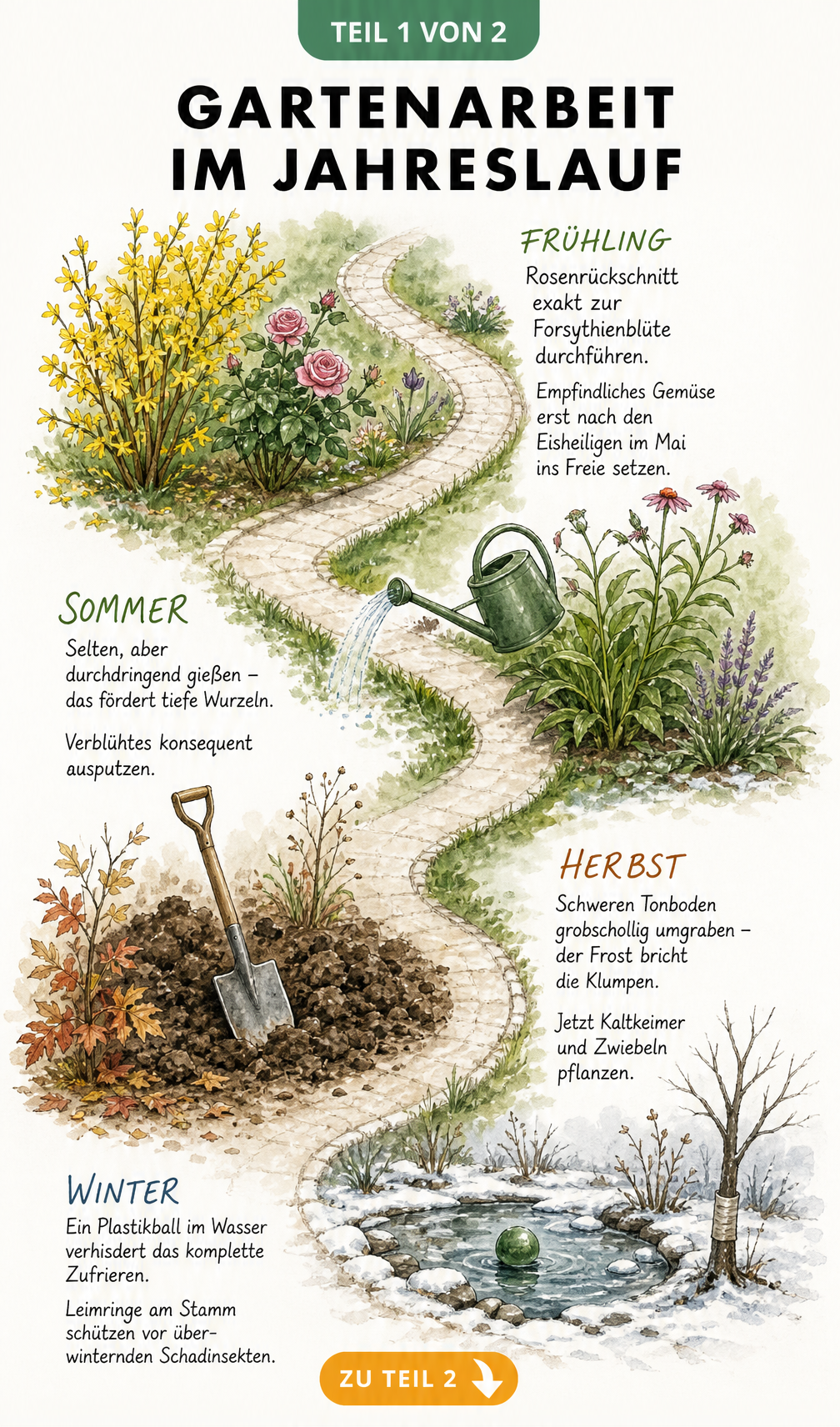 Aquarell-Skizze eines Gartenwegs durch vier Jahreszeiten mit Tipps zu Rosenrückschnitt, Wässern, Umgraben und Frostschutz