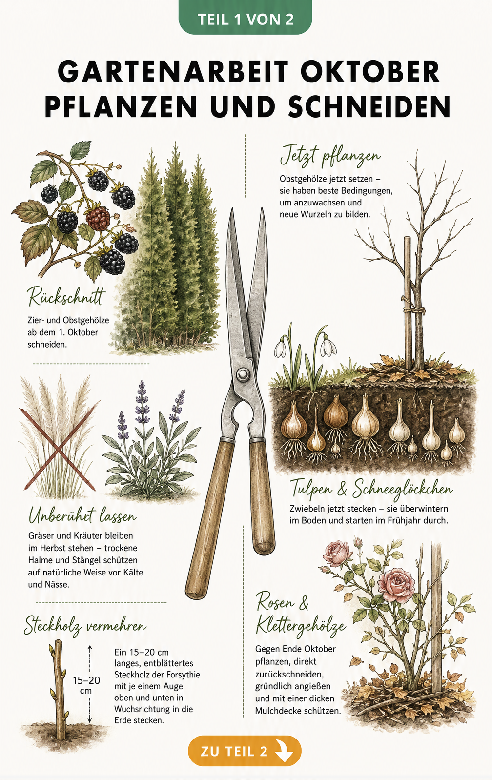 Botanische Illustration einer Gartenschere, die Rückschnitt von Gehölzen und das Pflanzen von Zwiebeln und Obstbäumen im Oktober zeigt