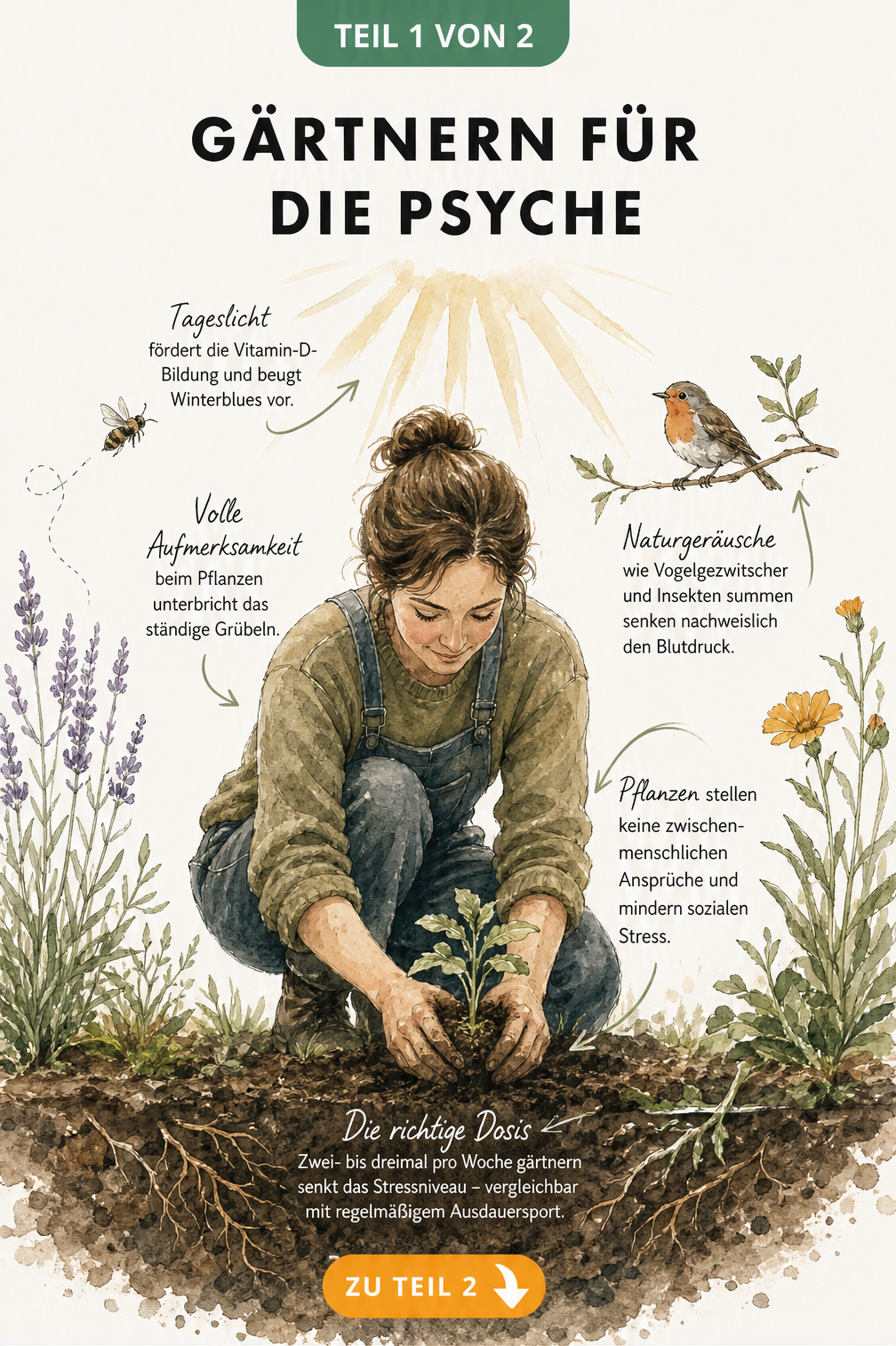 Illustration einer Person beim Einpflanzen eines Setzlings, umgeben von Texten zur stressmindernden Wirkung der Gartenarbeit