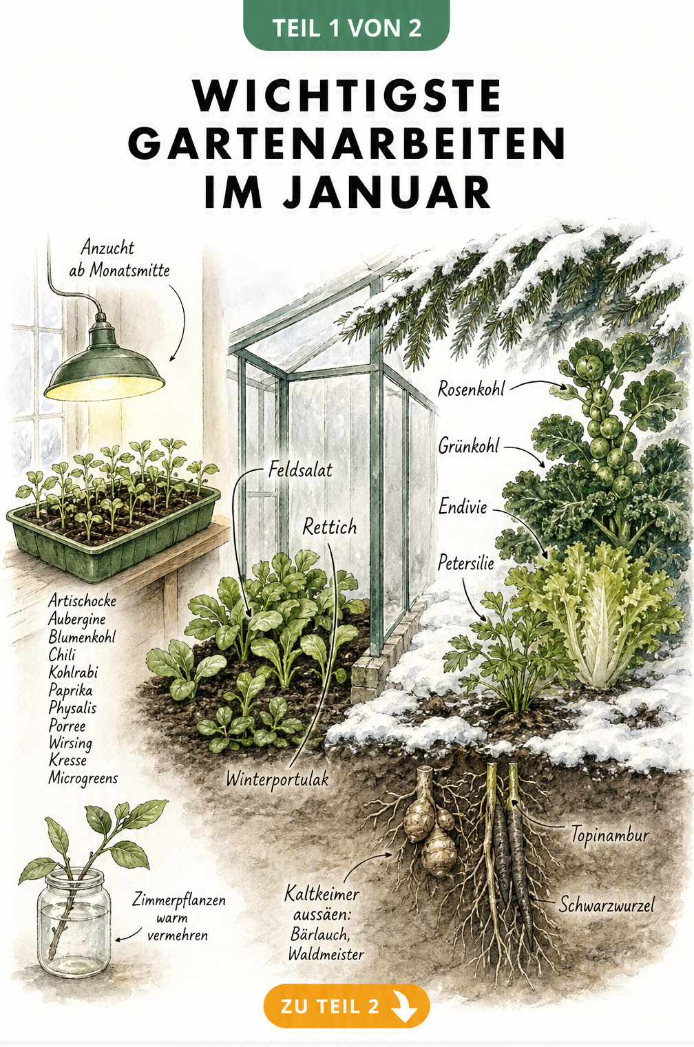 Illustration der Gartenarbeiten im Januar mit Anzucht auf der Fensterbank, Gewächshaus und Freiland