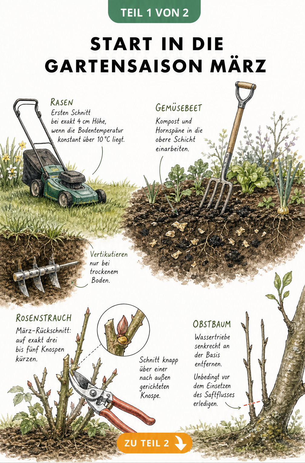 Querschnitt eines Frühlingsgartens mit Rasen, Gemüsebeet, Rosenstrauch und Obstbaum sowie Tipps für Gartenarbeiten im März
