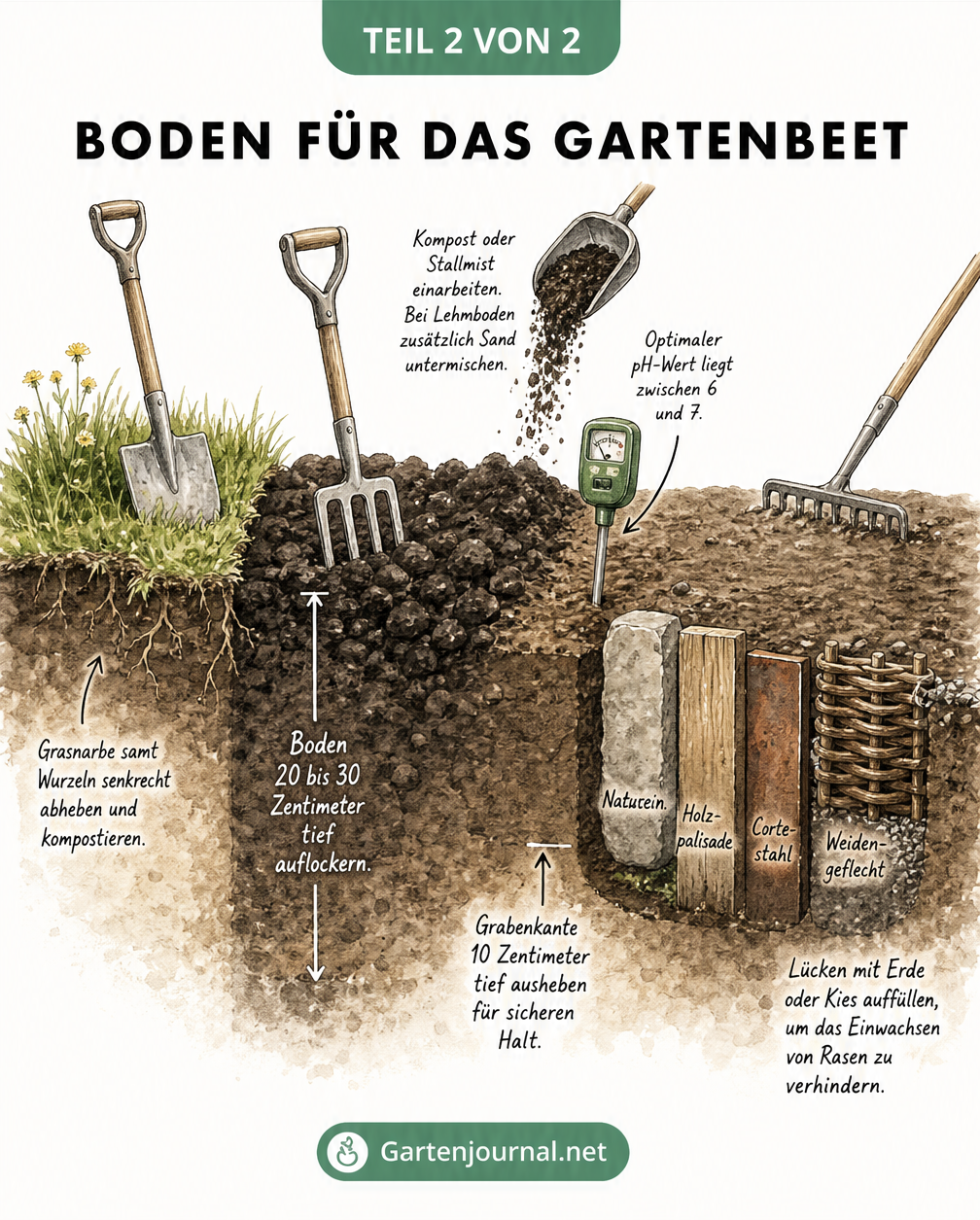 Querschnitt durch den Gartenboden, der die Schritte der Bodenvorbereitung vom Umgraben bis zur Beeteinfassung zeigt
