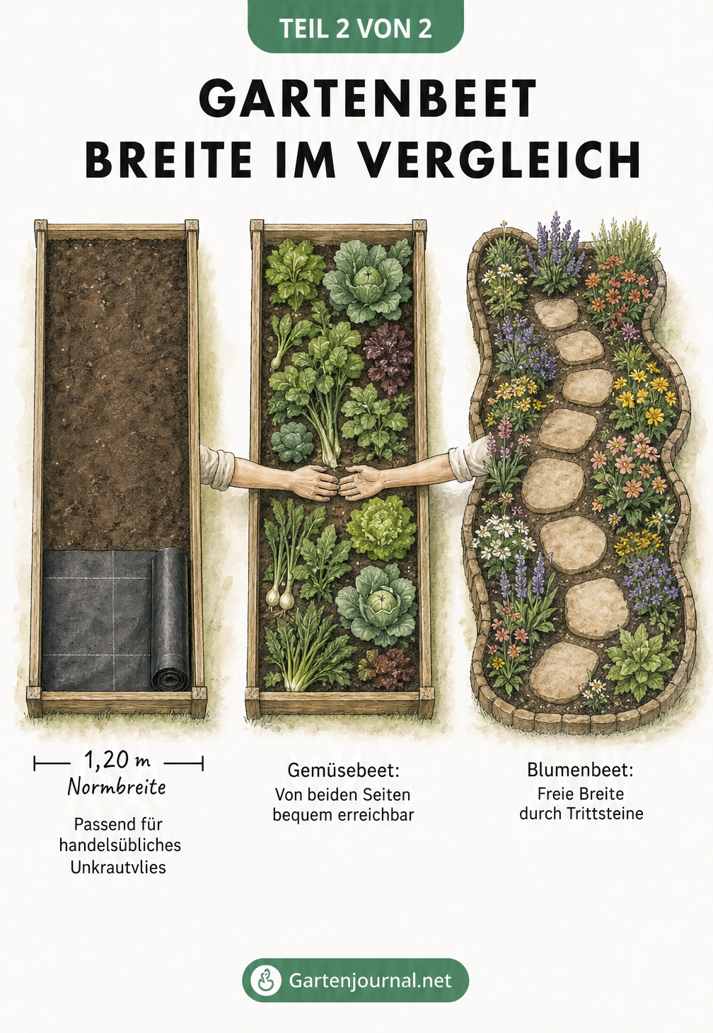 Vergleich von drei Gartenbeeten in der Draufsicht: ein Normbeet, ein Gemüsebeet und ein breites Blumenbeet mit Trittsteinen