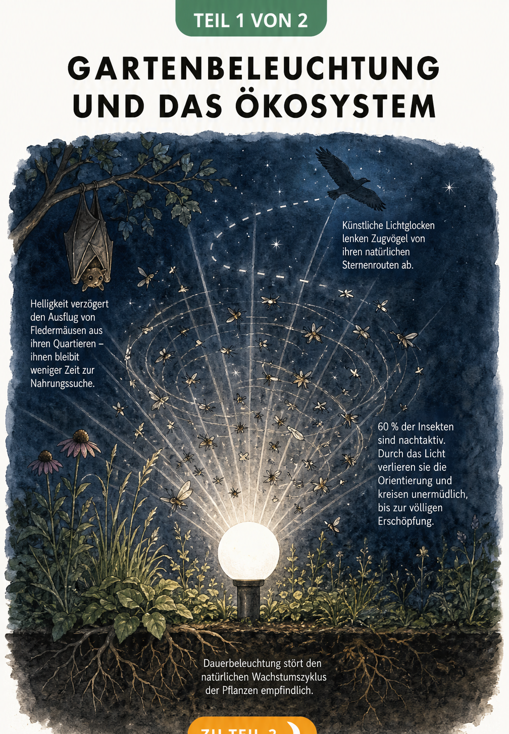 Illustration einer hellen Bodenlampe im Garten, um die Insekten kreisen, mit Hinweisen zu den Auswirkungen auf Vögel, Fledermäuse und Pflanzen.