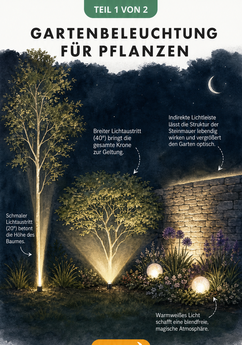 Illustration eines nächtlichen Gartens, die zeigt, wie Bäume und Beete mit unterschiedlichen Lichtkegeln optimal beleuchtet werden.