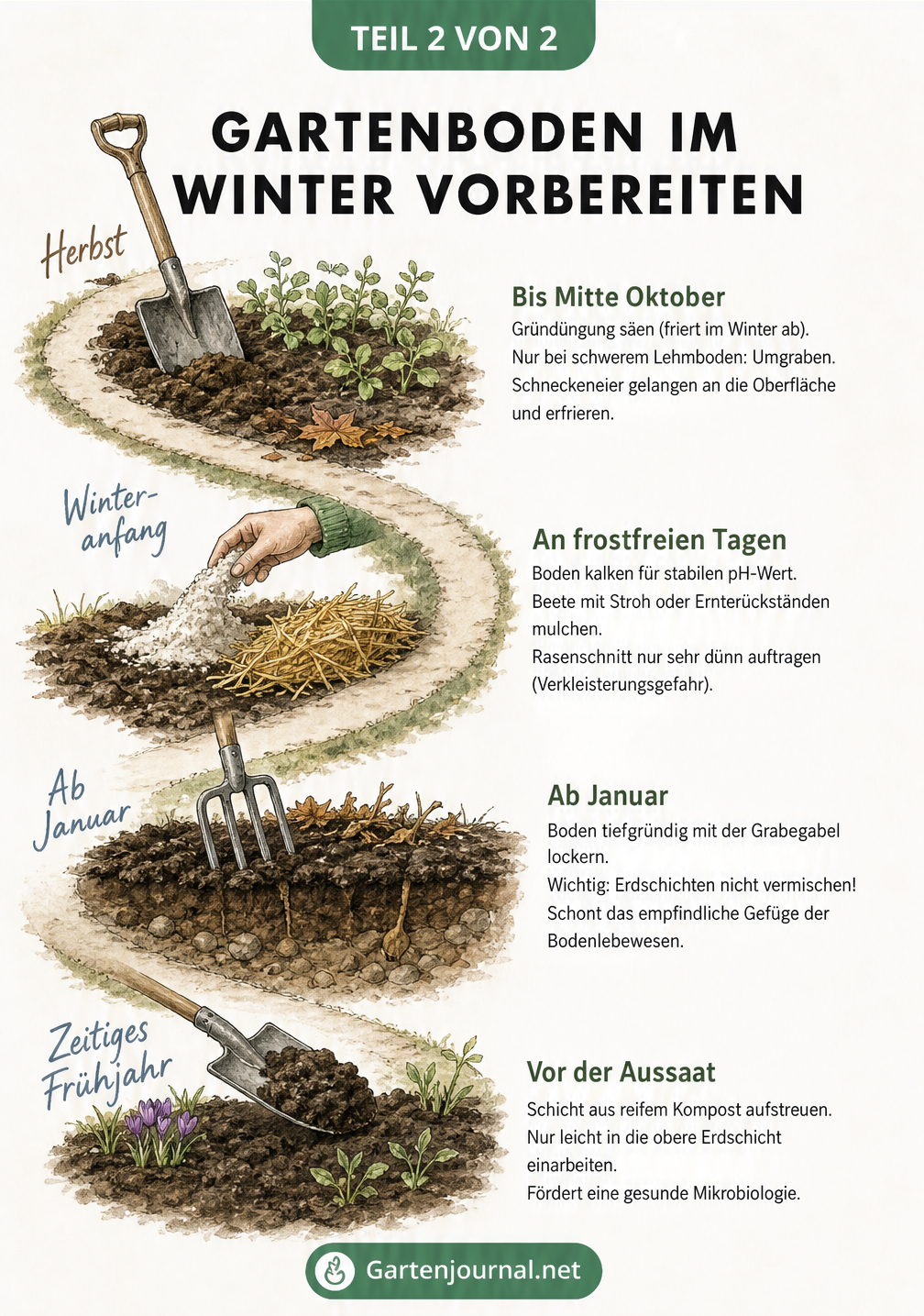 Zeitstrahl zur Vorbereitung des Gartenbodens im Winter mit Arbeitsschritten von Herbst bis Frühjahr