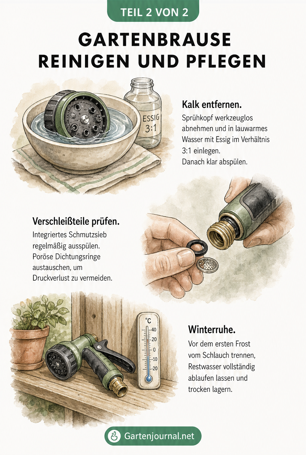 Illustrationen zur Reinigung und Pflege einer Gartenbrause: Entkalken, Dichtungen prüfen und Überwintern