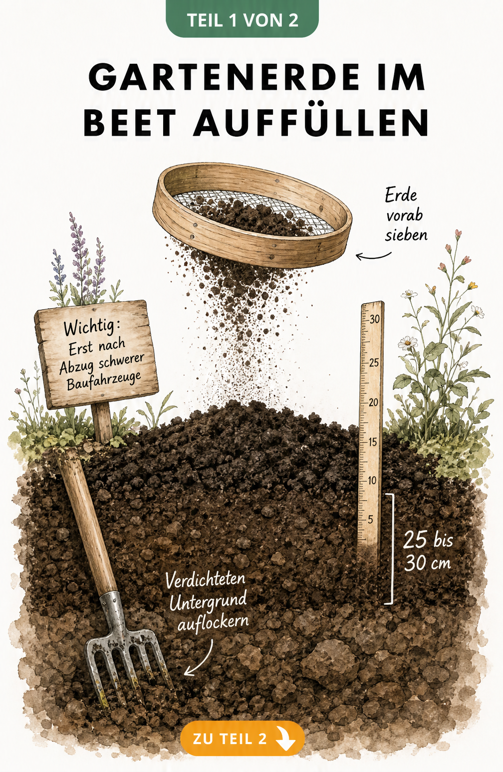 Querschnitt eines Gartenbeetes mit aufgelockertem Untergrund und 30 cm neuem Mutterboden