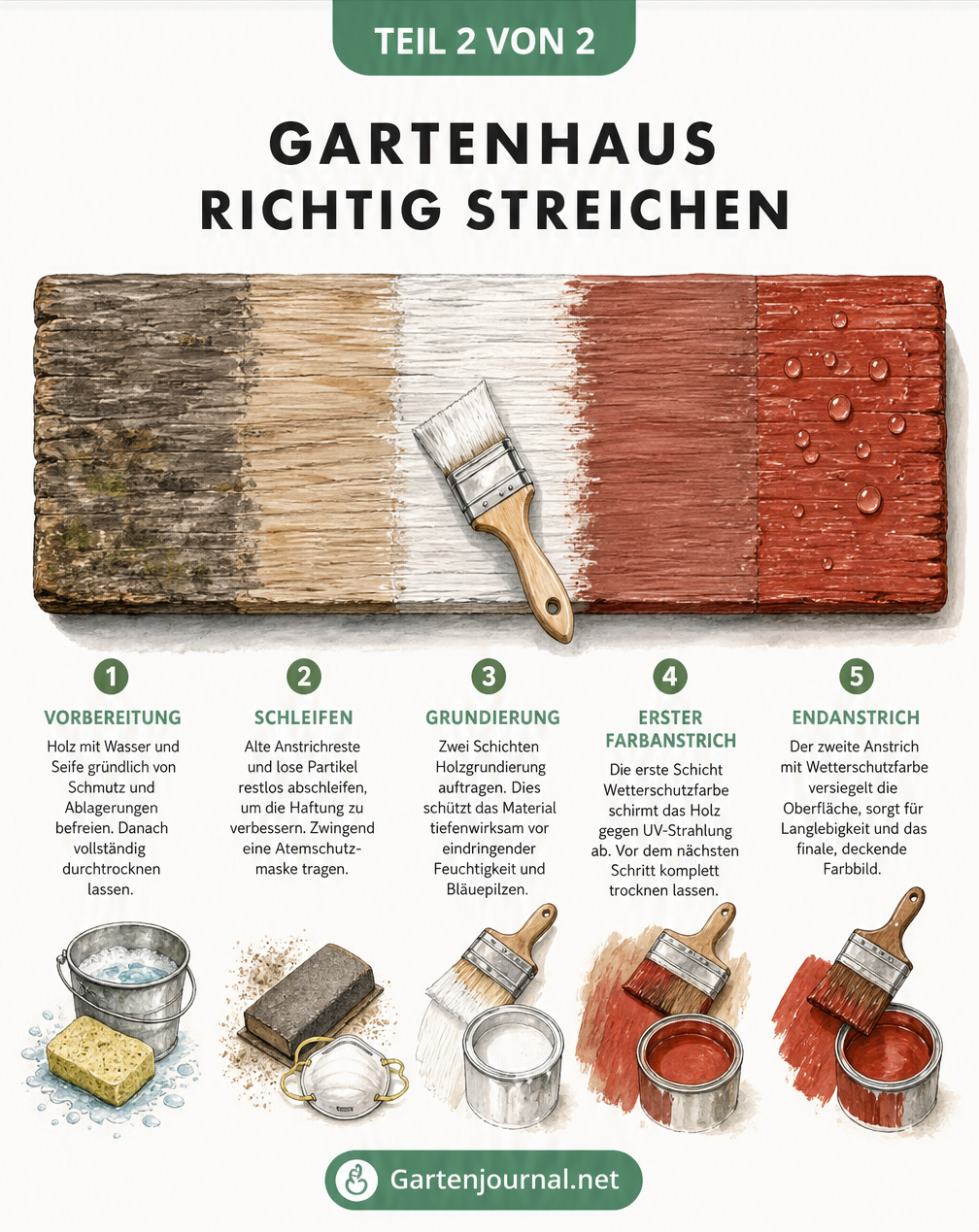 Illustration eines Gartenhauses mit Dachbegrünung, Rankhilfen an der Fassade, bepflanzten Wegen und Bodendeckern am Fundament.