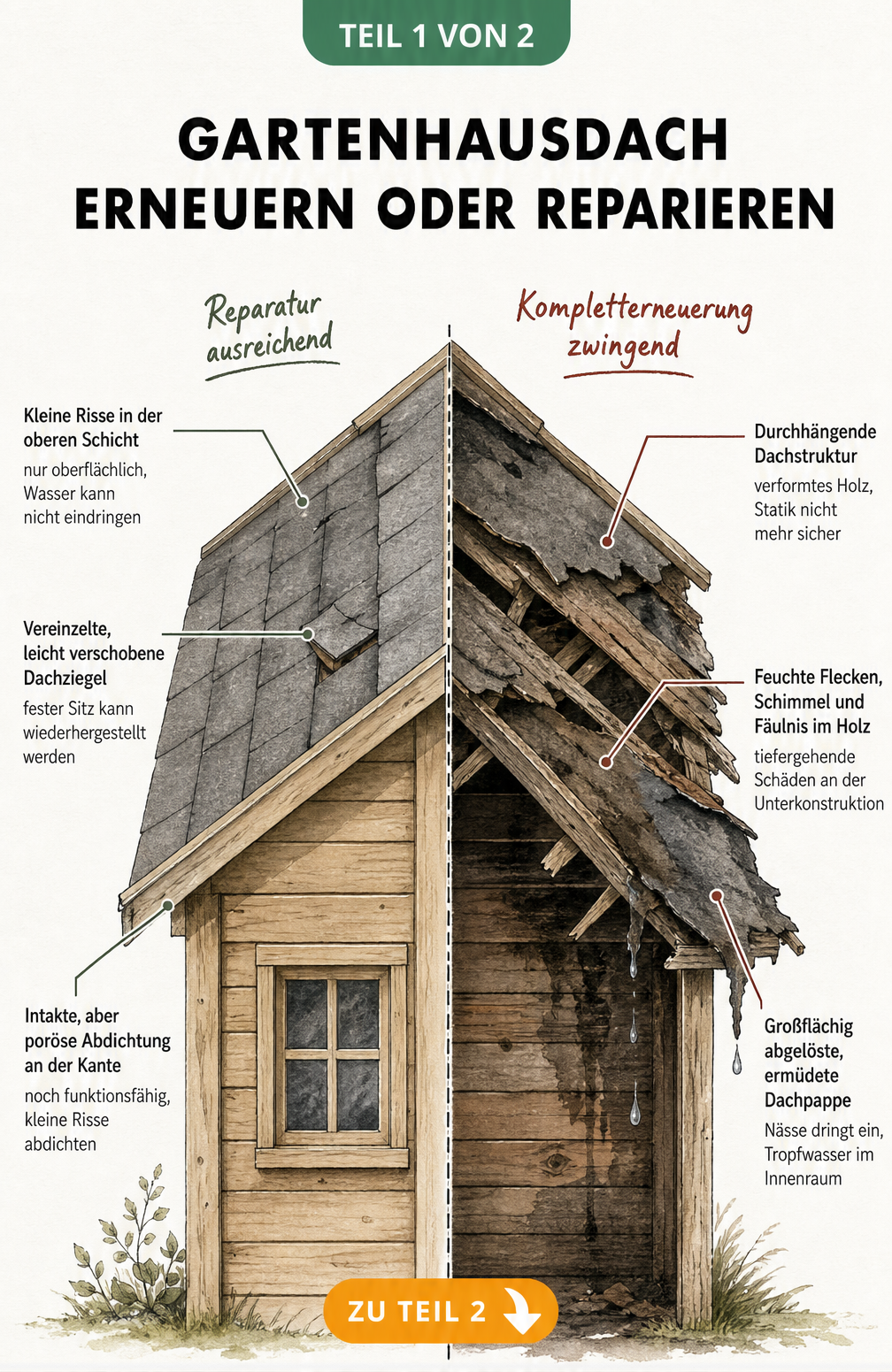 Schnittzeichnung eines Gartenhausdaches aus Holz, die links leichte Schäden für eine Reparatur und rechts schwere Schäden für eine Erneuerung zeigt