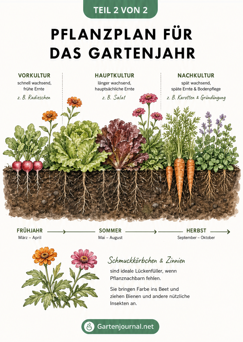 Zeitleiste eines Gartenjahres im Erdschnitt mit Vorkultur, Hauptkultur und Nachkultur