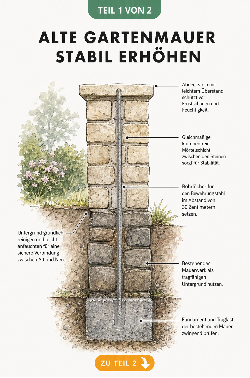 Schnittzeichnung einer Gartenmauer mit Fundament, Bewehrungsstahl und neuer Steinschicht zur Erhöhung