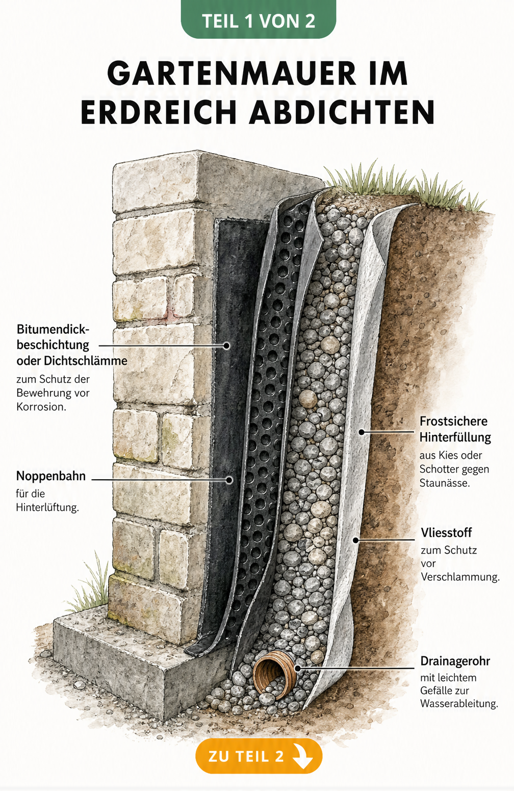 Schnittzeichnung einer Gartenmauer im Erdreich mit Fundament, Bitumendickbeschichtung, Noppenbahn, Schotter, Vliesstoff und Drainagerohr